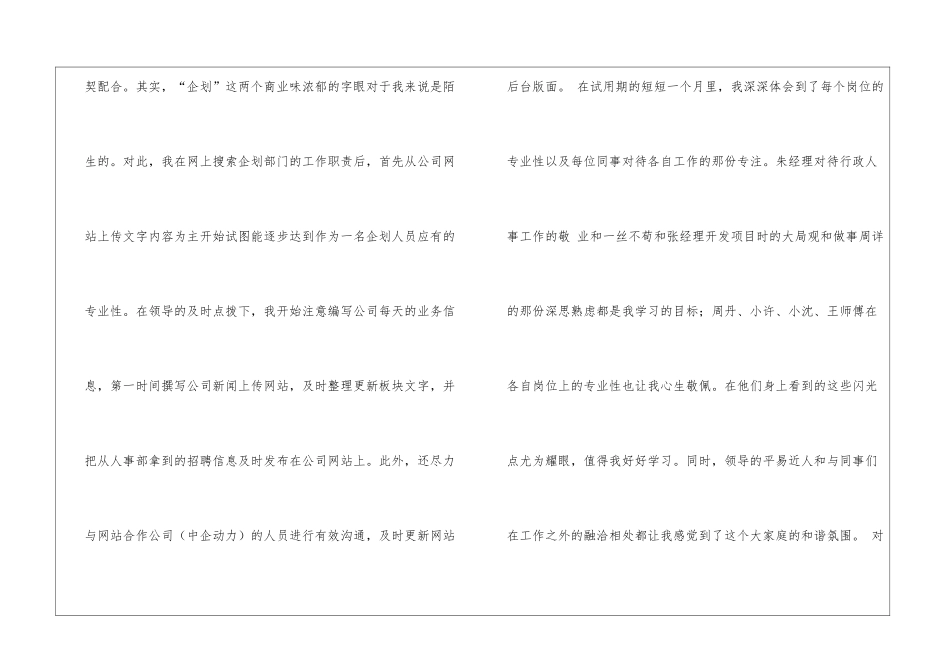试用期工作总结模板集锦五篇_第2页