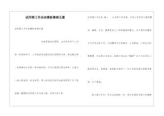 试用期工作总结模板集锦五篇