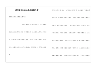 试用期工作总结模板集锦六篇