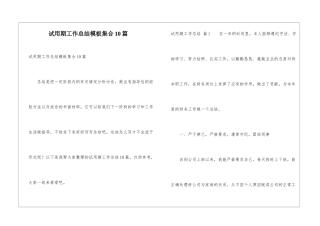 试用期工作总结模板集合10篇