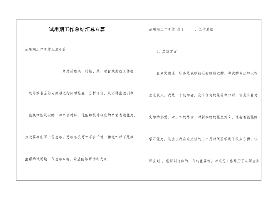 试用期工作总结汇总6篇_第1页