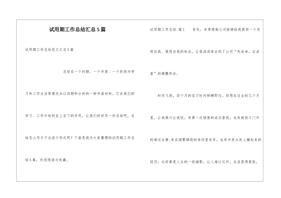 试用期工作总结汇总5篇_第1页