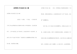 试用期工作总结汇总5篇
