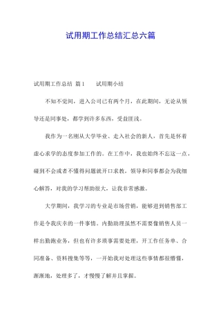 试用期工作总结汇总六篇