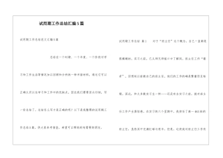 试用期工作总结汇编5篇