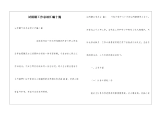 试用期工作总结汇编十篇