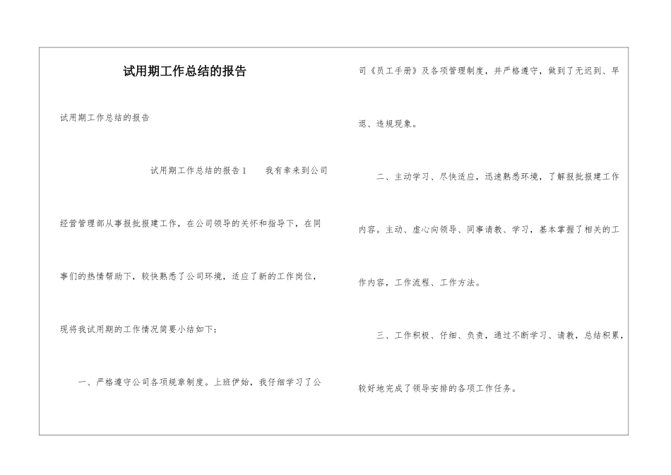 试用期工作总结的报告_第1页