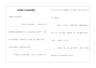 试用期工作总结的报告