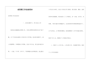 试用期工作总结范本