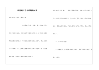 试用期工作总结锦集6篇