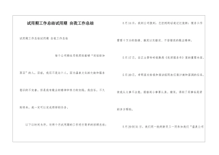 试用期工作总结试用期-自我工作总结