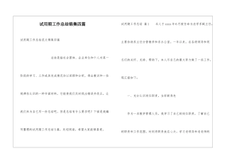 试用期工作总结锦集四篇