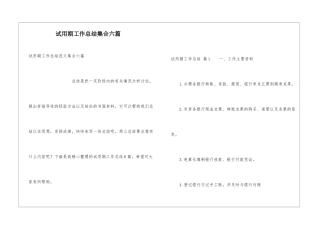 试用期工作总结集合六篇