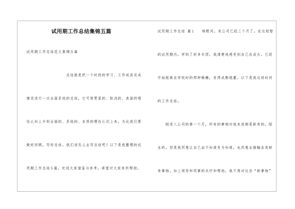 试用期工作总结集锦五篇_第1页