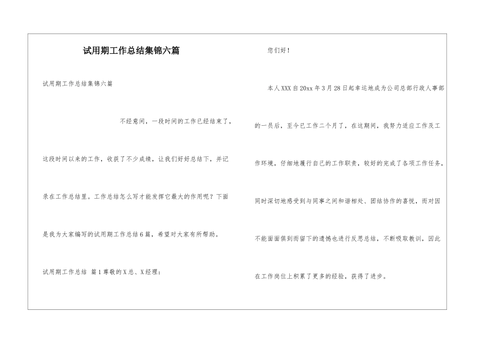 试用期工作总结集锦六篇_第1页