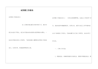 试用期工作报告