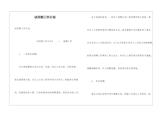 试用期工作计划