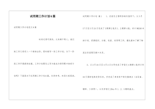 试用期工作计划6篇