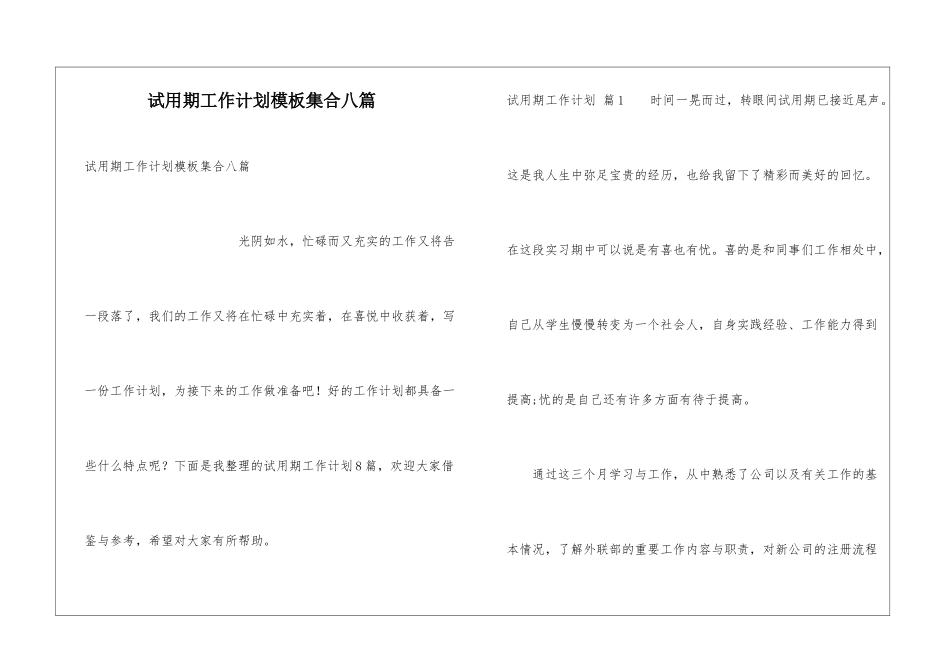 试用期工作计划模板集合八篇_第1页