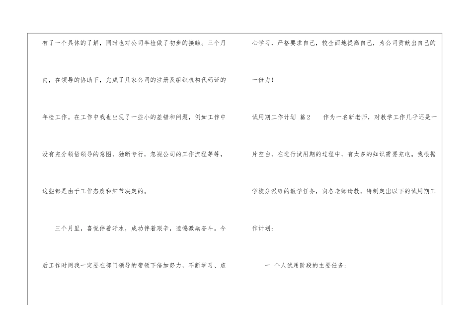 试用期工作计划模板集合八篇_第2页
