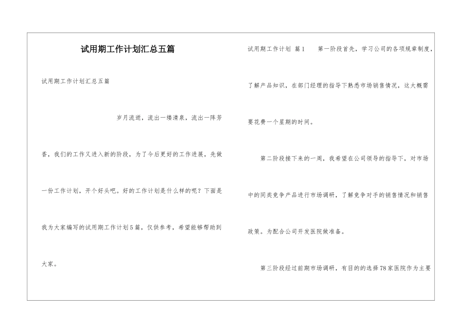 试用期工作计划汇总五篇_第1页