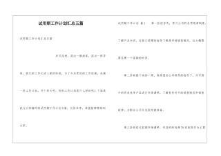 试用期工作计划汇总五篇