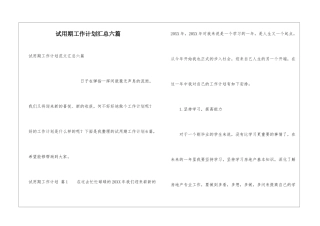 试用期工作计划汇总六篇