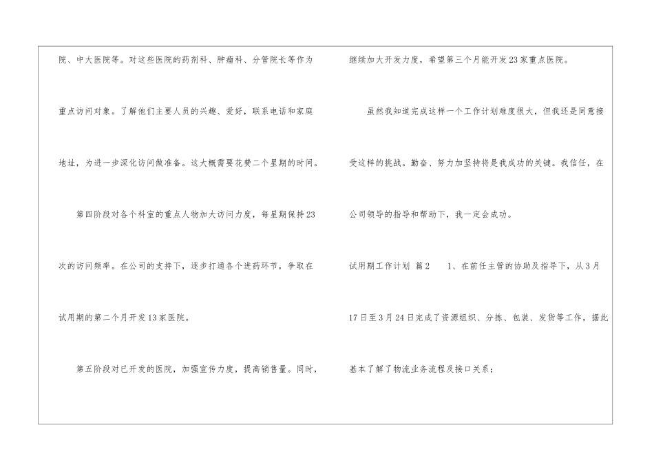 试用期工作计划模板集锦6篇_第2页