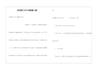 试用期工作计划锦集八篇