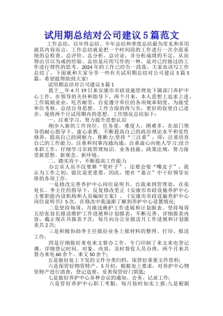 试用期总结对公司建议5篇范文