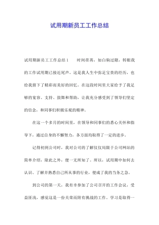 试用期新员工工作总结