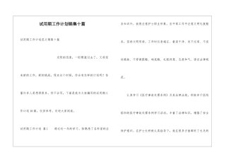 试用期工作计划锦集十篇