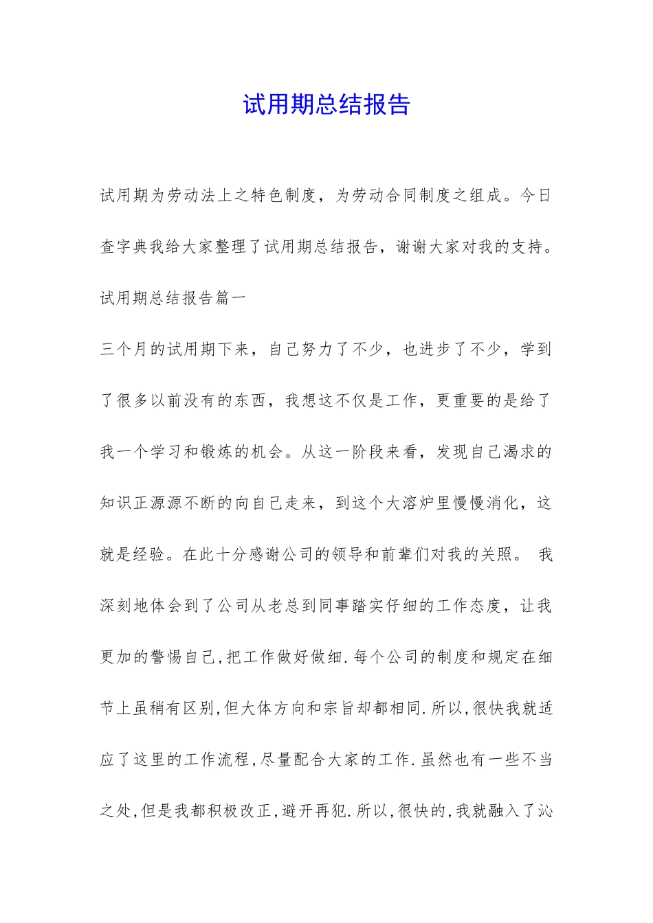 试用期总结报告-_第1页