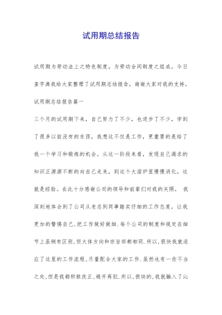 试用期总结报告-