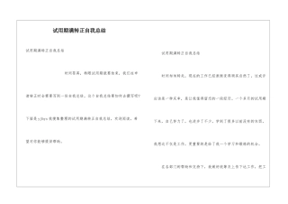 试用期满转正自我总结