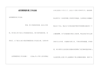 试用期现阶段工作总结