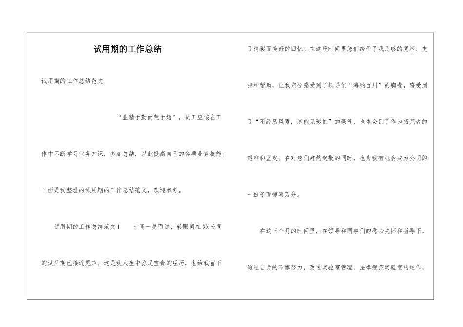 试用期的工作总结_第1页
