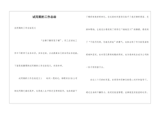 试用期的工作总结