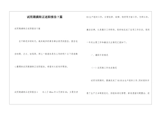 试用期满转正述职报告7篇