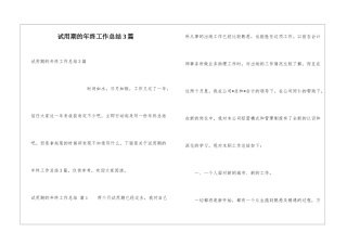 试用期的年终工作总结3篇
