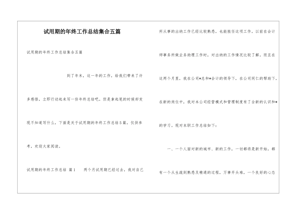 试用期的年终工作总结集合五篇_第1页