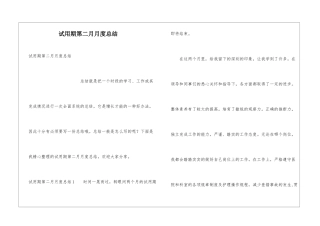 试用期第二月月度总结