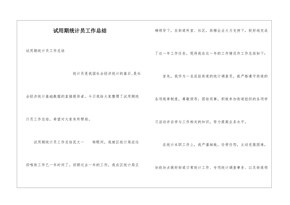 试用期统计员工作总结_第1页