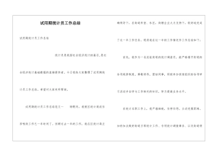 试用期统计员工作总结