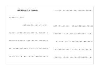 试用期考核个人工作总结