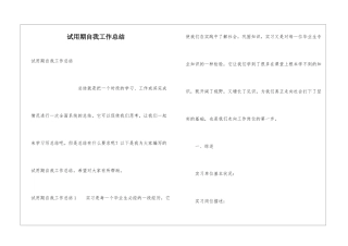 试用期自我工作总结