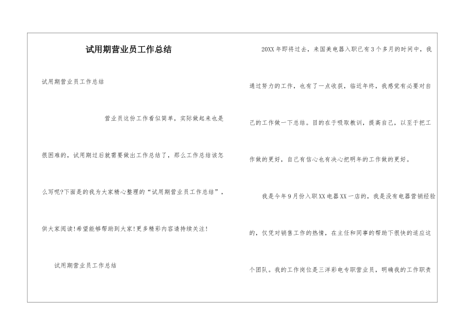 试用期营业员工作总结_第1页