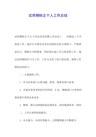 试用期转正个人工作总结