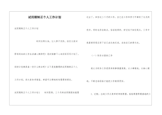 试用期转正个人工作计划
