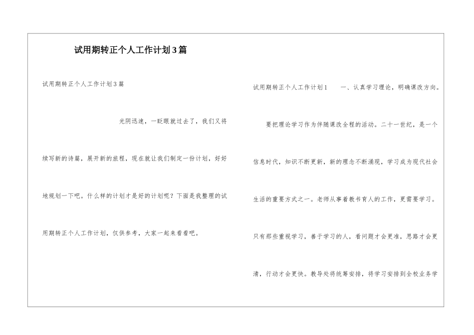 试用期转正个人工作计划3篇_第1页